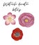 Watercolor hand drawn decorative botany clip art , decorative elements, flourish clip art, authentic flowers