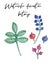 Watercolor hand drawn decorative botany clip art , decorative elements, flourish clip art, authentic flowers, watercolor