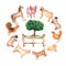 Watercolor hand drawn farm animals and objects in the round. Barn. tree, grass, fence, hen,chicken,rooster,dog,sheeps,pig,cowcat,