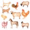 Watercolor hand drawn farms animal set. Cute domestic pets watercolor illustration. horse. hen. pig. sheep. rooster. chicken. dog.