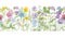 Watercolor hand drawn floral summer seamless border with wild meadow flowers clover, bluebell, cornflower, tansy, chamomile, cow