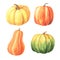 Watercolor hand drawn green, orange, yellow pumpkin