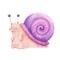 Watercolor hand drawn illustration. Cute character smiling colorful snail isolated painting on white background. For kids fashion,