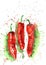 Watercolor hand drawn illustration of red chili peppers with red and green spray