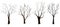 Watercolor hand drawn illustration set of four bare trees with no leaves, ecological concept nature forest wood woodland