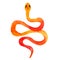 Watercolor hand-drawn illustration of snakes in orange color with skin texture.