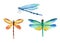 Watercolor hand drawn illustration of three bright vivid dragonfly insects. Natural forest dragonflies in blue yellow