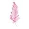 Watercolor hand drawn pink gentle feather