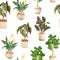 Watercolor hand drawn seamless pattern illsutration with houseplants in brown clay terra cotta pots. Potted begonia