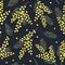 Watercolor hand drawn seamless pattern with spring tender flowers - yellow mimosa on the dark background. For textile