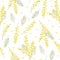 Watercolor hand drawn seamless pattern with spring tender flowers - yellow mimosa on the white background. For textile