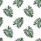 Watercolor hand drawn seamless tropical pattern with exotic green split leaf. Endless texture for design isolated on