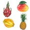 Watercolor hand drawn set of exotic fruits. Tropical fruits. Dragon fruit, starfruit, mango, pineapple