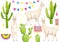 Watercolor hand drawn set with green cacti plants and white llama animal with colorful elements