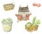 Watercolor hand drawn set of illustrations on the theme of the harvest. Realistic rustic collection of vegetables