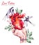 Watercolor hand holding anatomic heart with leaves and swallows in vintage medieval style. Valentines day illustration