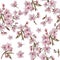 Watercolor hand painted cherry flowers wreath pattern. Botanical illustration in vintage style.