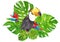 Watercolor hand painted illustration with Toucan Ramphastos toco parrot sitting on tree branch in tropical monstera leaves and c