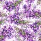 Watercolor hand-painted lilac, lavender, light violet hues summer flowers on a white ground