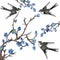 Watercolor hand painted nature composition with black and white swallow birds flying around brown tree branches and blue blossom f