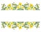 Watercolor hand painted nature floral banner frame with yellow blossom celandine flowers and green eucalyptus leaves on branches