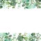 Watercolor hand painted nature floral banner line with green eucalyptus branches plant, blue flower yarrow and white flower jasmin