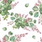 Watercolor hand painted nature floral seamless pattern with pink blossom heather flowers and green eucalyptus leaves on branch bou