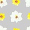 Watercolor hand painted nature floral seamless pattern with yellow and white blossom narcissus flowers