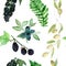Watercolor hand painted nature fresh berry and greenery seamless pattern with blueberry, purple blackberry, olive plant and green