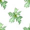 Watercolor hand painted nature greenery herbal seamless pattern with wormwood green leaves composition