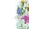 Watercolor hand painted nature herbal floral composition bouquet banner with white chamomile, pink belladonna, blue yarrow, yellow