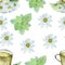 Watercolor hand painted nature herbal seamless pattern with cup of tea, green mint leaves and white flower with yellow middle cham