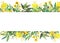 Watercolor hand painted nature meadow floral banner frame with yellow acacia and buttercup blossom flowers and green eucalyptus le