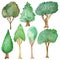 Watercolor hand painted nature plants set with seven different spruce, oak, cypress, linden, eucalyptus trees with green leaves an