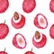 Watercolor hand painted nature tropical fresh seamless pattern with pink lychee fruit, flesh and bone