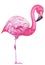 Watercolor hand painted pink flamingo. exotic bird standing on two legs. Tropical trandy bird with bright plumage isolated on whit