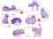 Watercolor hand painted purple cats and mouses illustrations isolated on white
