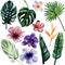 Watercolor hand painted set of 12 bright tropical flowers and leaves: hibiscus, orchid, plumeria, heliconia, monstera, banana tree