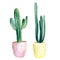 Watercolor hand painted set of 2 cactuses in pink and yellow flower pots. Isolated elements on white background