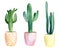 Watercolor hand painted set of 3 cactuses in pink and yellow flower pots. Isolated elements on white background