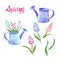 Watercolor hand painted spring flowers set with pink and blue muscari and vintage watering can isolated