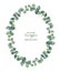 Watercolor hand painted vector oval wreath with silver dollar eucalyptus.