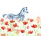 Watercolor hand painting dapple grey arabian horse in red poppies meadow flowers on white.