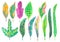 Watercolor hand painting illustration colorful leaves of Croton plant, collections of leaf isolated diecut with clipping path on