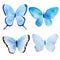 Watercolor handmade butterfly collection pattern. Can be used for greeting cards, invitations,logo,printing on fabric.