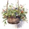 Watercolor Hanging Basket on White Background for Invitations and Posters.