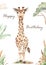 Watercolor happy birthday card with cute animal giraffe, illustration, savanna