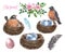 Watercolor happy Easter collection with spring birds, flowers bouquet, eggs in nest, isolated