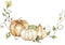 Watercolor harvest scene with pumpkin, flowers and leaves bouquet clipart. Fall decor composition for Thanksgiving, autumn