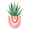 Watercolor haworthia houseplant in pink pot isolated on white background. Boho style